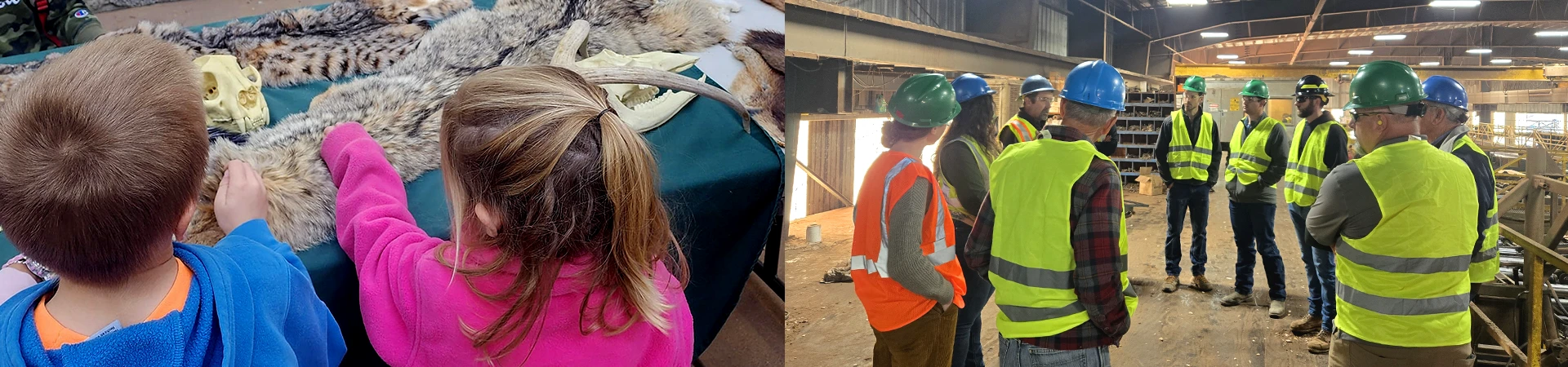 Photo of kids touching animal pelts and a picture of people in a saw mill.